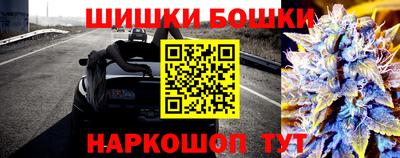 скорость Заводоуковск