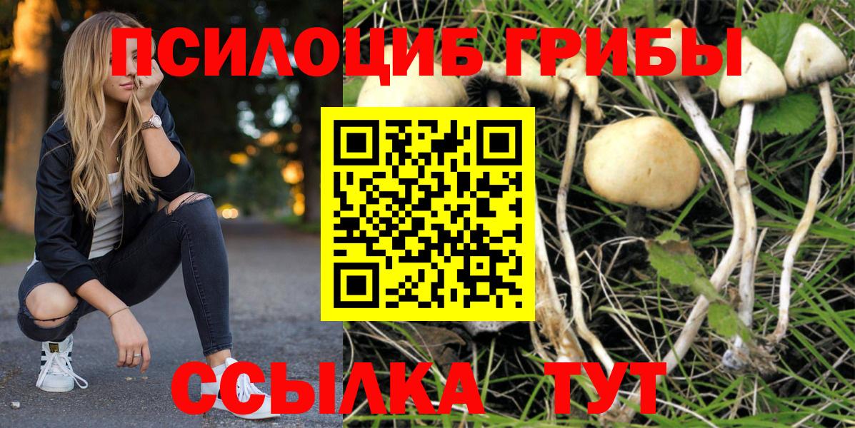 Конопля Химки