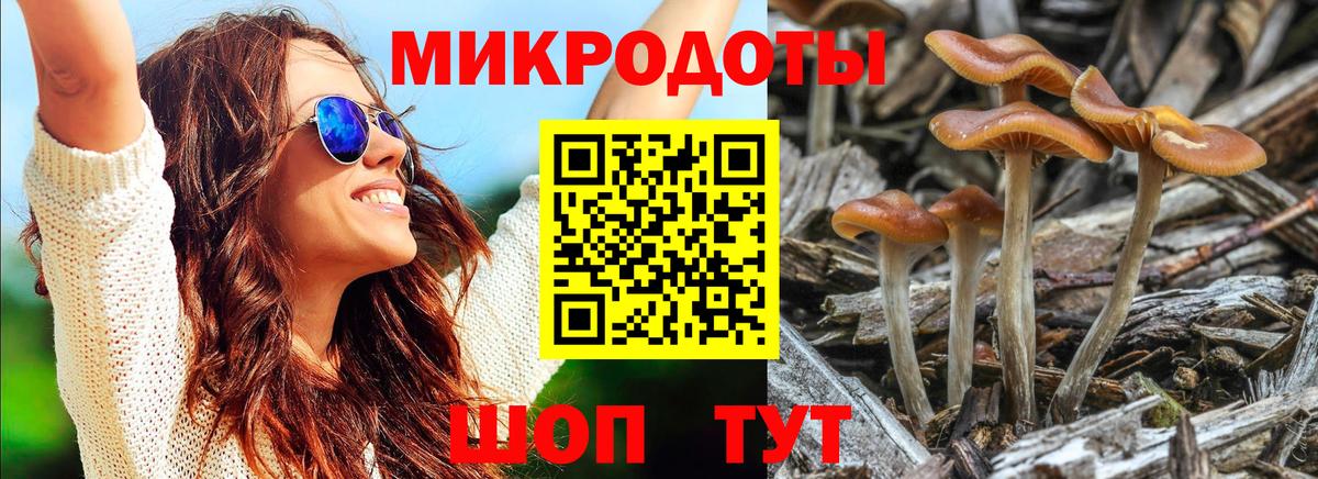 Псилоцибиновые грибы GOLDEN TEACHER  Вход с VPN  Химки  Галлюциногенные грибы Cubensis 